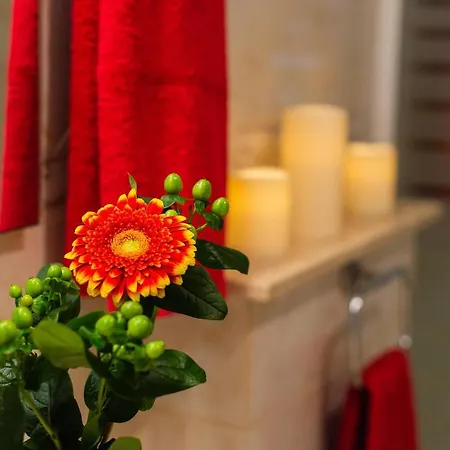 Apartmán Drac Blanc 1-4