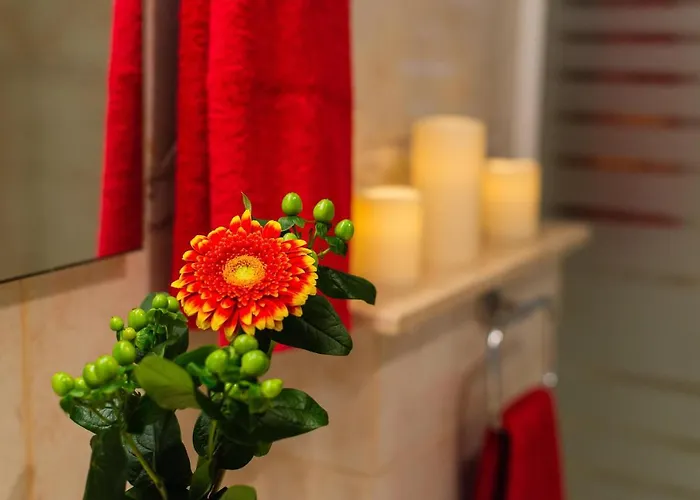 Appartement Drac Blanc 1-4