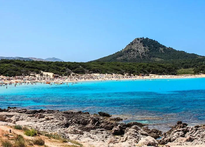 Drac Blanc 1-4 Cala Ratjada (Mallorca)